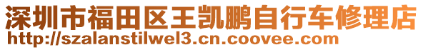 深圳市福田區(qū)王凱鵬自行車修理店