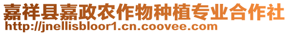 嘉祥縣嘉政農(nóng)作物種植專業(yè)合作社