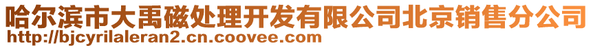 哈爾濱市大禹磁處理開發(fā)有限公司北京銷售分公司