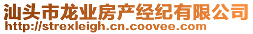 汕頭市龍業(yè)房產(chǎn)經(jīng)紀(jì)有限公司