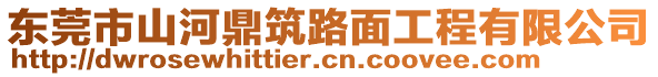 東莞市山河鼎筑路面工程有限公司