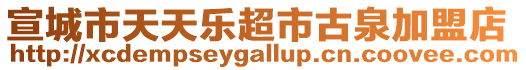 宣城市天天樂超市古泉加盟店