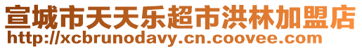 宣城市天天樂超市洪林加盟店