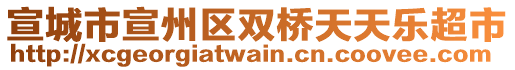 宣城市宣州區(qū)雙橋天天樂超市