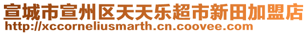 宣城市宣州區天天樂超市新田加盟店