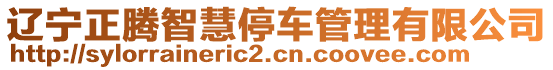 遼寧正騰智慧停車管理有限公司