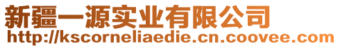 新疆一源實業有限公司