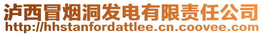 瀘西冒煙洞發(fā)電有限責(zé)任公司