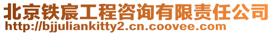 北京鐵宸工程咨詢有限責任公司