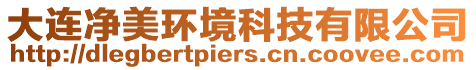 大連凈美環境科技有限公司