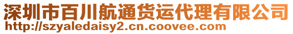 深圳市百川航通貨運代理有限公司