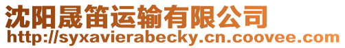 沈陽晟笛運(yùn)輸有限公司