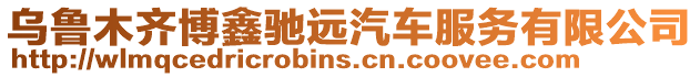 烏魯木齊博鑫馳遠汽車服務有限公司