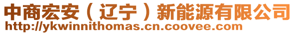 中商宏安（遼寧）新能源有限公司