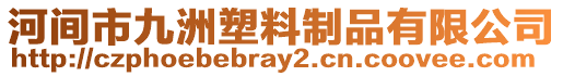 河間市九洲塑料制品有限公司