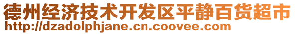 德州經(jīng)濟(jì)技術(shù)開(kāi)發(fā)區(qū)平靜百貨超市