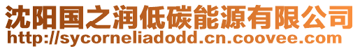 沈陽(yáng)國(guó)之潤(rùn)低碳能源有限公司