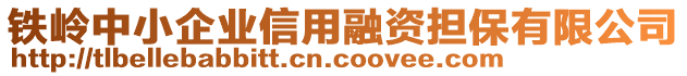 鐵嶺中小企業(yè)信用融資擔(dān)保有限公司