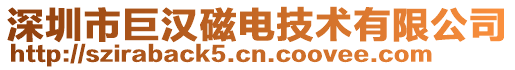 深圳市巨漢磁電技術(shù)有限公司