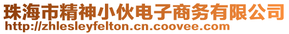 珠海市精神小伙電子商務(wù)有限公司