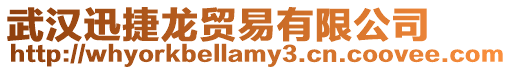 武漢迅捷龍貿易有限公司