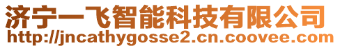 濟寧一飛智能科技有限公司