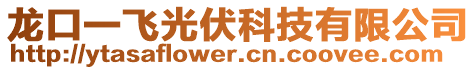 龍口一飛光伏科技有限公司