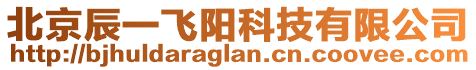 北京辰一飛陽科技有限公司