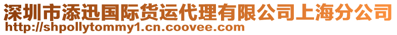 深圳市添迅國際貨運代理有限公司上海分公司