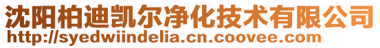 沈陽柏迪凱爾凈化技術有限公司