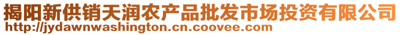 揭陽(yáng)新供銷(xiāo)天潤(rùn)農(nóng)產(chǎn)品批發(fā)市場(chǎng)投資有限公司