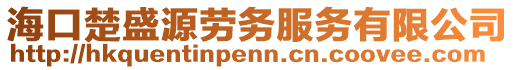 海口楚盛源勞務(wù)服務(wù)有限公司