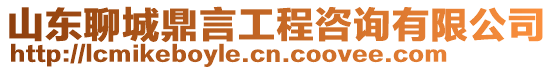 山東聊城鼎言工程咨詢有限公司