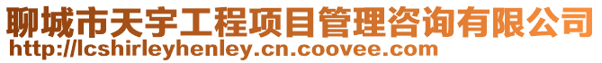 聊城市天宇工程項目管理咨詢有限公司