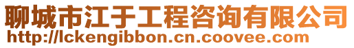 聊城市江于工程咨詢有限公司