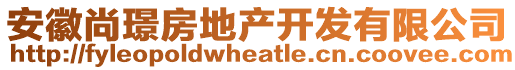 安徽尚璟房地產(chǎn)開(kāi)發(fā)有限公司