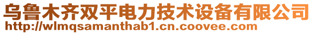 烏魯木齊雙平電力技術(shù)設(shè)備有限公司