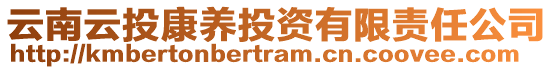 云南云投康養(yǎng)投資有限責(zé)任公司