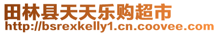 田林縣天天樂購超市