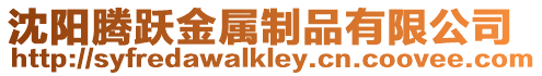 沈陽騰躍金屬制品有限公司