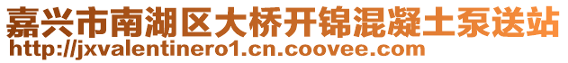 嘉興市南湖區(qū)大橋開(kāi)錦混凝土泵送站