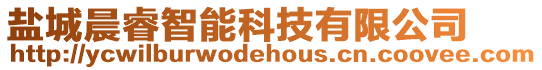 鹽城晨睿智能科技有限公司