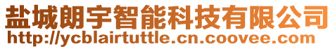 鹽城朗宇智能科技有限公司