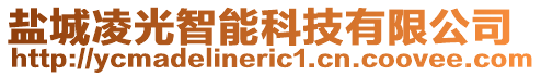 鹽城凌光智能科技有限公司