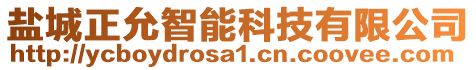 鹽城正允智能科技有限公司