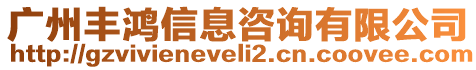 廣州豐鴻信息咨詢有限公司
