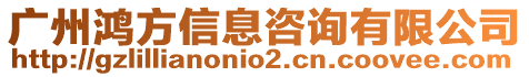 廣州鴻方信息咨詢有限公司