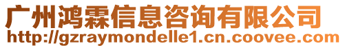 廣州鴻霖信息咨詢有限公司