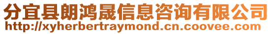 分宜縣朗鴻晟信息咨詢有限公司