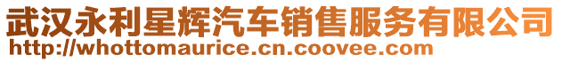 武漢永利星輝汽車銷售服務有限公司